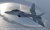 hasegawa-SP571 (1).jpg