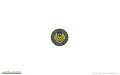 Badge_pin.jpg