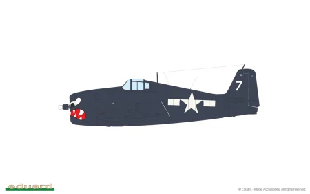 7077-02-B.jpg