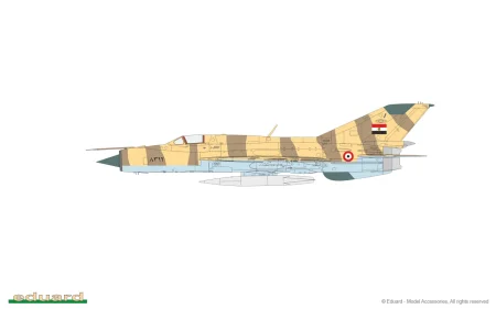 8237-04-D.jpg