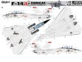 gwh-4832-tomcat (1).jpg