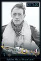 Kotare-K32601-Spitfire-Brian-Lane (1).jpg
