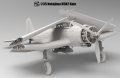 Border-BF-005-1.jpg