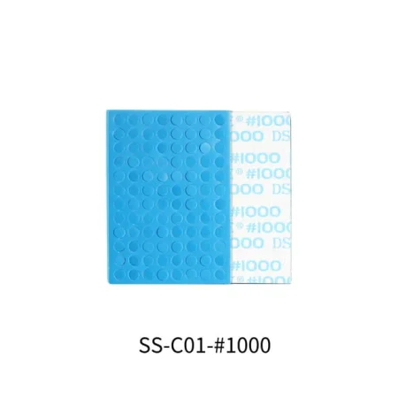 DSPIAE-SS-C01-1000.jpg