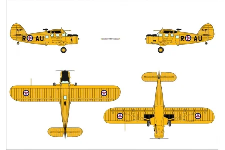 dora-wings-72034 (8).jpg