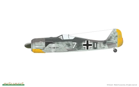 82146_05.jpg
