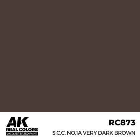 ak-interactive-RC873.jpg