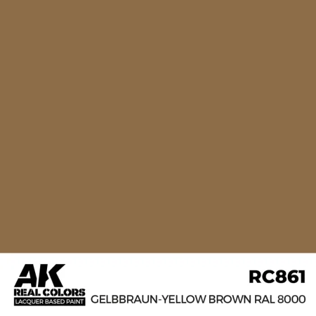 ak-interactive-RC861.jpg