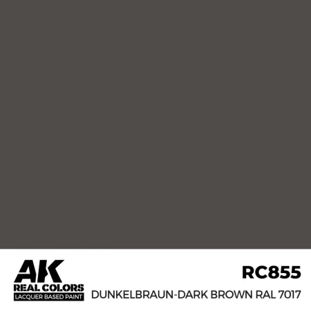 ak-interactive-RC855.jpg