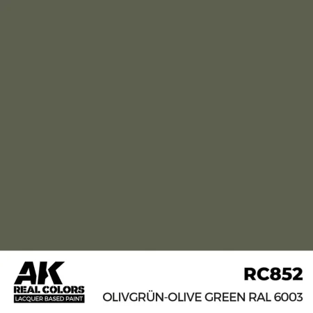 ak-interactive-RC852.jpg