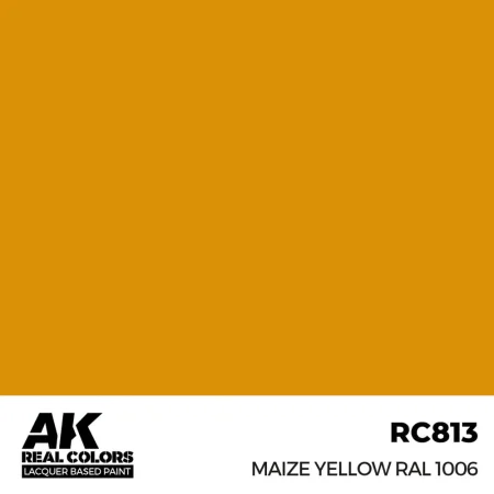 ak-interactive-RC813.jpg