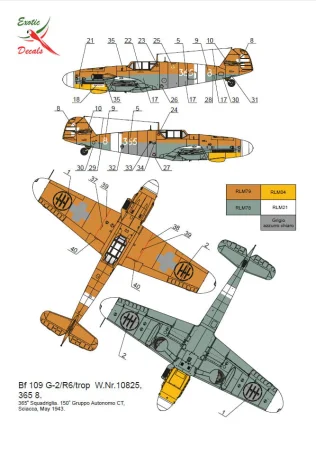 exotic-72025-48025-instruction (2).jpg