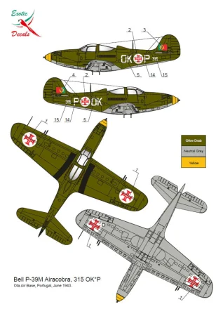 exotic-72022-48022 (4).jpg