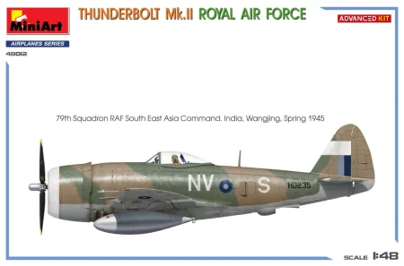 miniart-48012-thunderbolt-raf (5).jpg