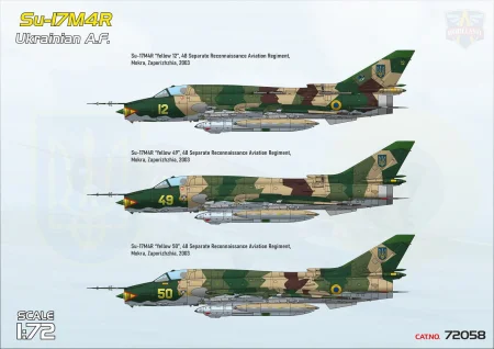 modelsvit-72058 (2).jpg