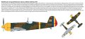 IAR-80-IBG-camo2.jpg
