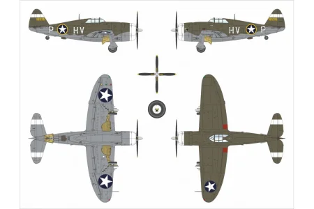 dora-wings-DW48055-P-47c (5).jpg