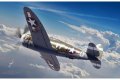 dora-wings-DW48055-P-47c (6).jpg
