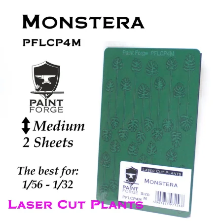PFLCP4M Monstera.jpg