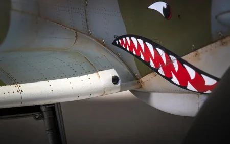 a17002_5.jpg