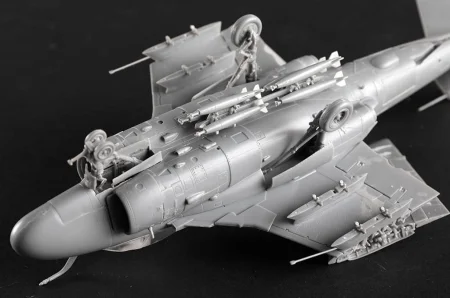Trumpeter-01641 (8).jpg