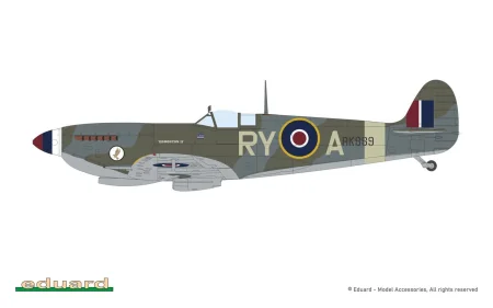 eduard-8288-spitfire-IXe (6).jpg