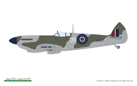 eduard-8288-spitfire-IXe (8).jpg