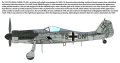 ibg-72562-camo (1).jpg
