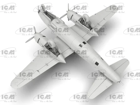 icm-48321 (6).jpg