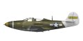 arma-hobby-40013-P-39-Airacobra-recon (11).jpg