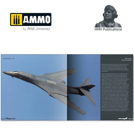 ammo-DH027-boeing-b-1b-lancer-in-service-with-the-usaf (2).jpg