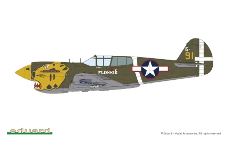 Eduard-R0023-P-40E-Warhawk-Royal-Class-Edition-Dual-Combo (54).jpg