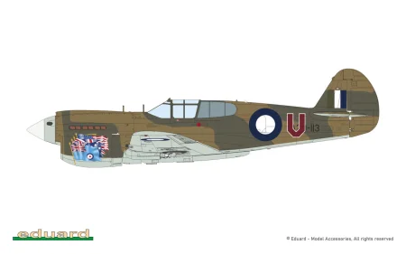 Eduard-R0023-P-40E-Warhawk-Royal-Class-Edition-Dual-Combo (55).jpg