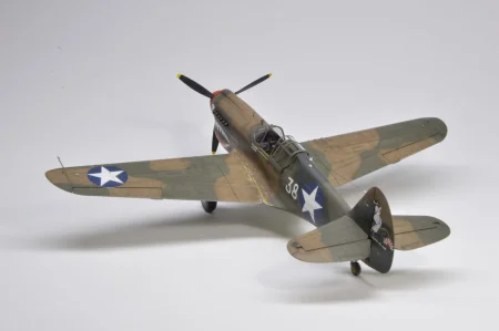 Eduard-R0023-P-40E-Warhawk-Royal-Class-Edition-Dual-Combo (30).JPG