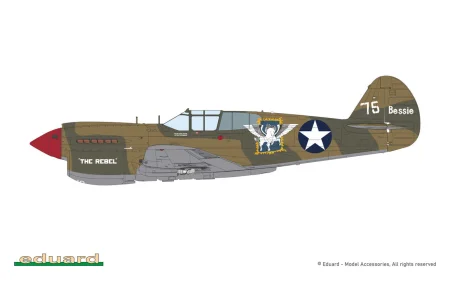 11185_COL_A.jpg