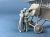 CSM-F32068 (2).jpg