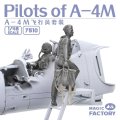 magic-factory-7510-skyhawk-pilots (1).jpg