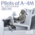 magic-factory-7510-skyhawk-pilots (2).jpg