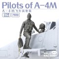magic-factory-7510-skyhawk-pilots (3).jpg