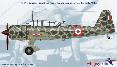 Wingsy-Kits-D5-06-Ki-51-Sonia (9).jpg