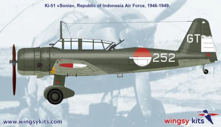 Wingsy-Kits-D5-06-Ki-51-Sonia (12).jpg