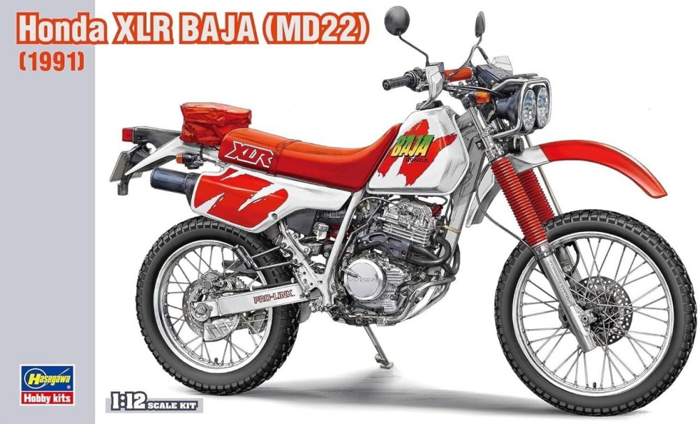 hasegawa-21516 (1).jpg