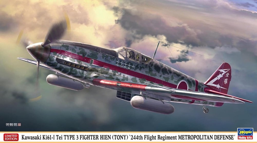 Hasegawa-07546.jpg