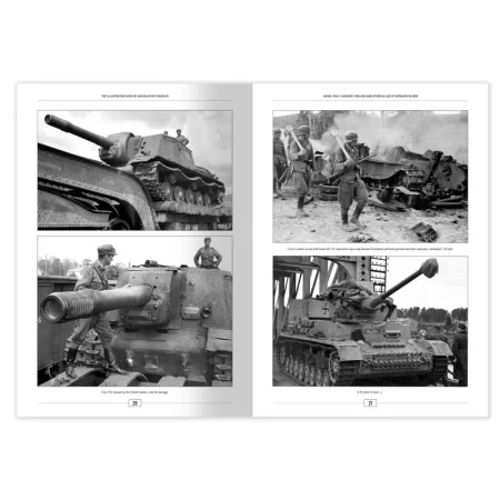 ammo-6308-the-illustrated-guide-of-axis-military-vehicles (5).jpg