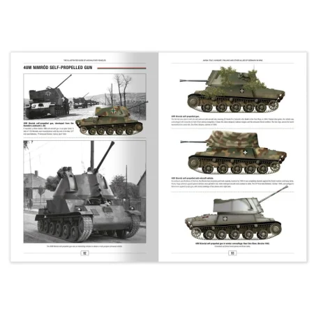 ammo-6308-the-illustrated-guide-of-axis-military-vehicles (10).jpg