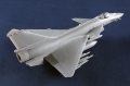 Trumpeter-01690 (10).jpg