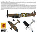 IBG-72584-Spitfire-Limited-edition (26).jpg