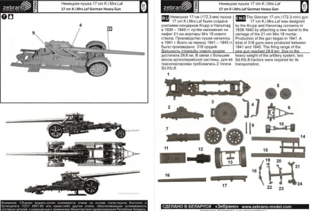 Zebrano-72060 (3).jpg
