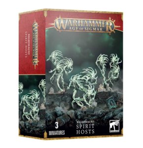 GW 93-08 Warhammer Age of Sigmar - Nighthaunt: Spirit Hosts