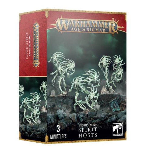 Przejdź do produktu GW 93-08 Warhammer Age of Sigmar - Nighthaunt: Spirit Hosts